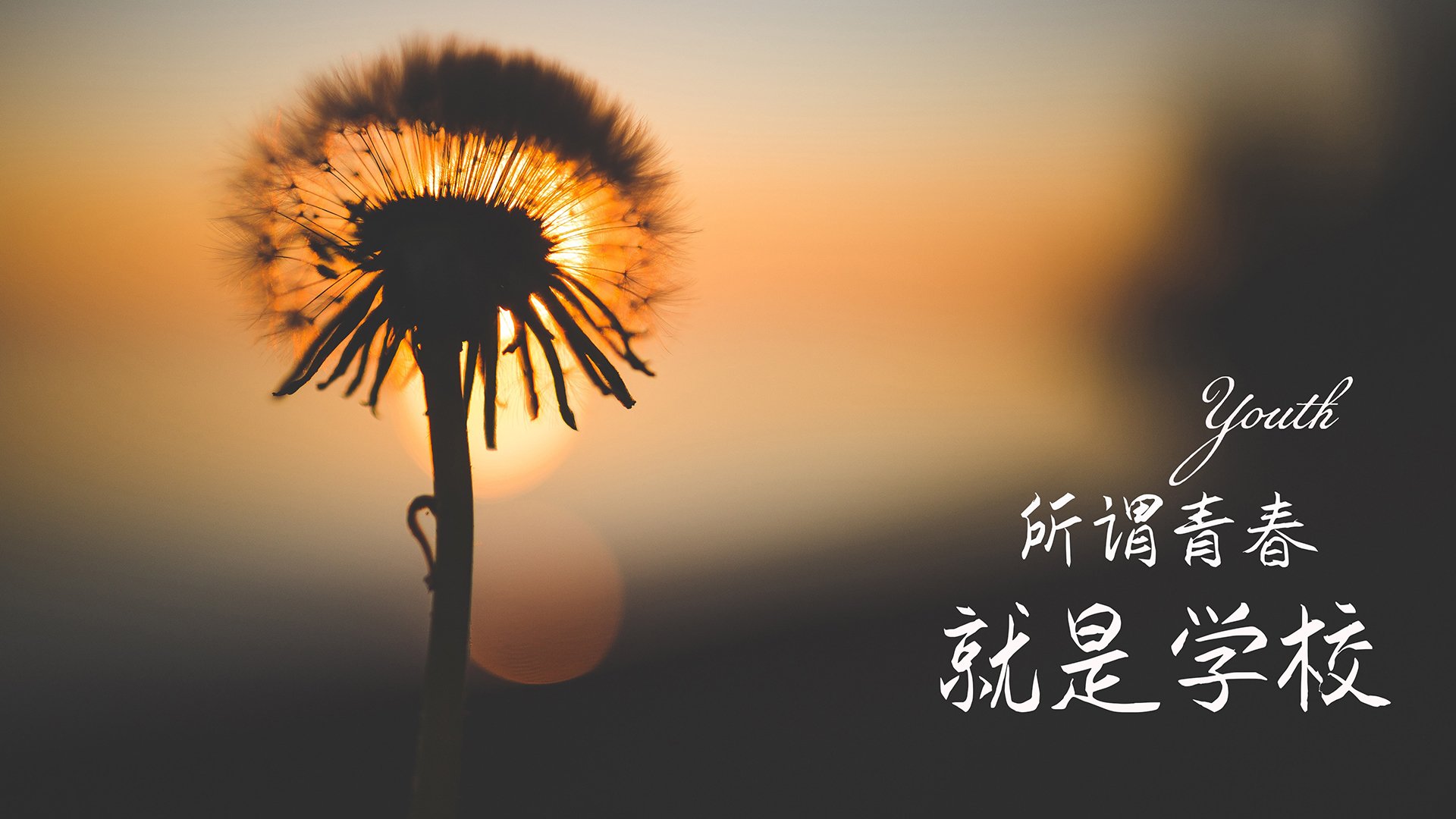 _魔术补强阵容,逆境中坚韧不拔_,魔术cull