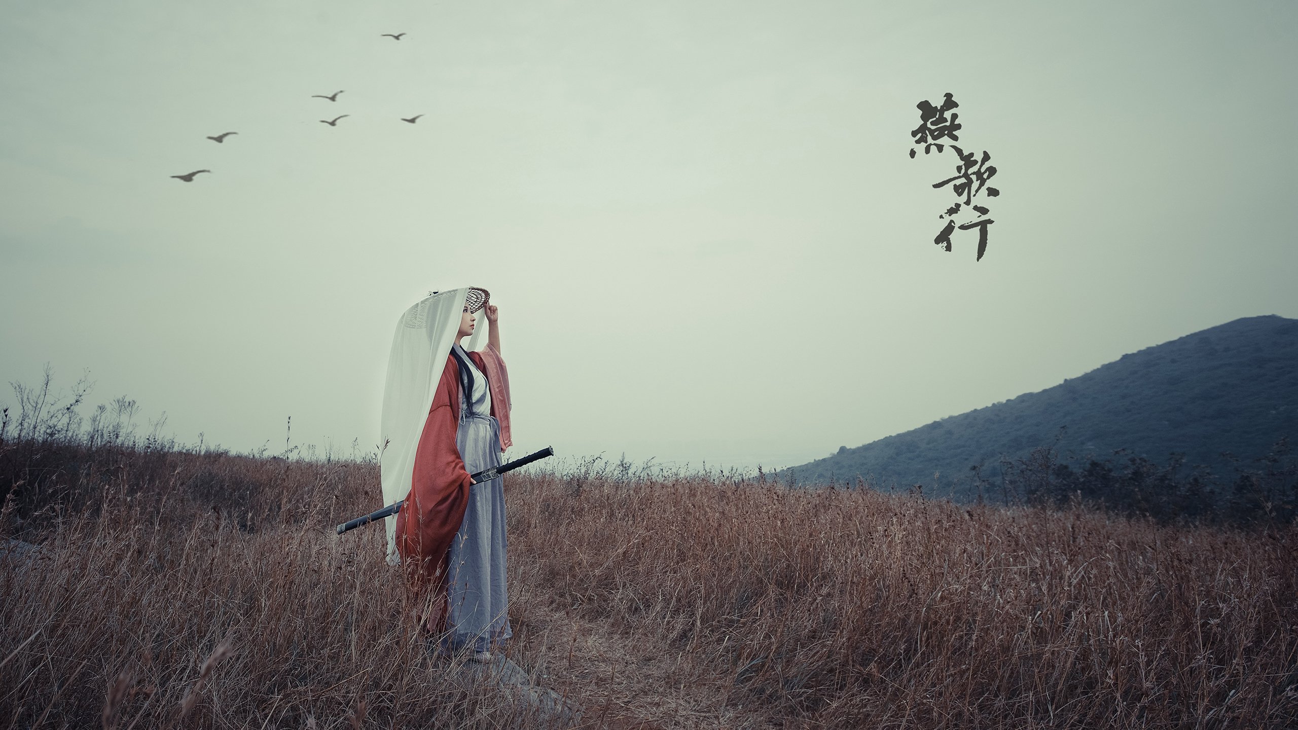 _魔术补强阵容,逆境中坚韧不拔_,魔术cull