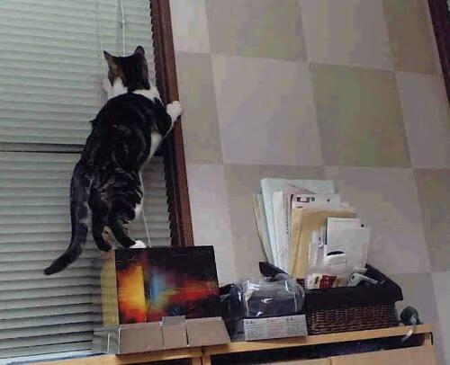 爱游戏平台-“青训+文化+旅游”深度融合模式在全国多地落地生根，行业持续繁荣