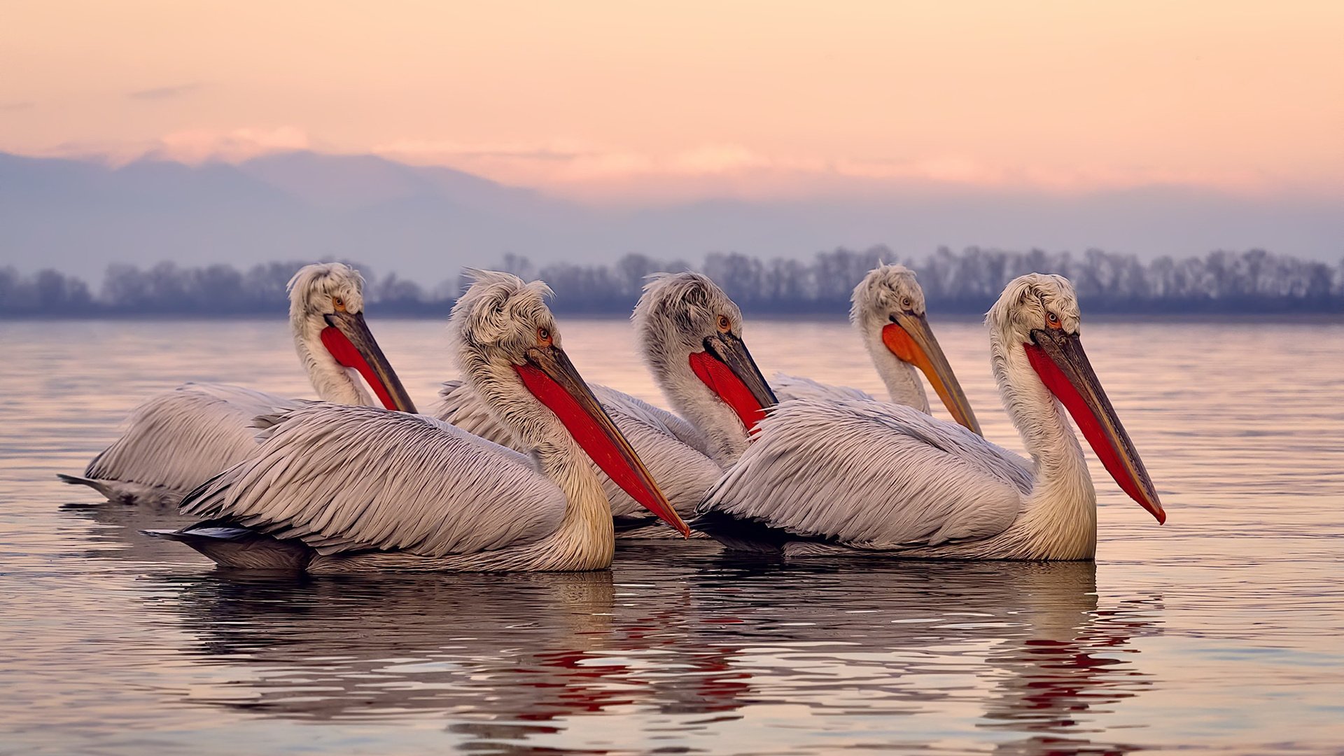 爱游戏官网-【战术大PK】奥沙利文精通的多变攻防战术解析，奥沙利文的防守