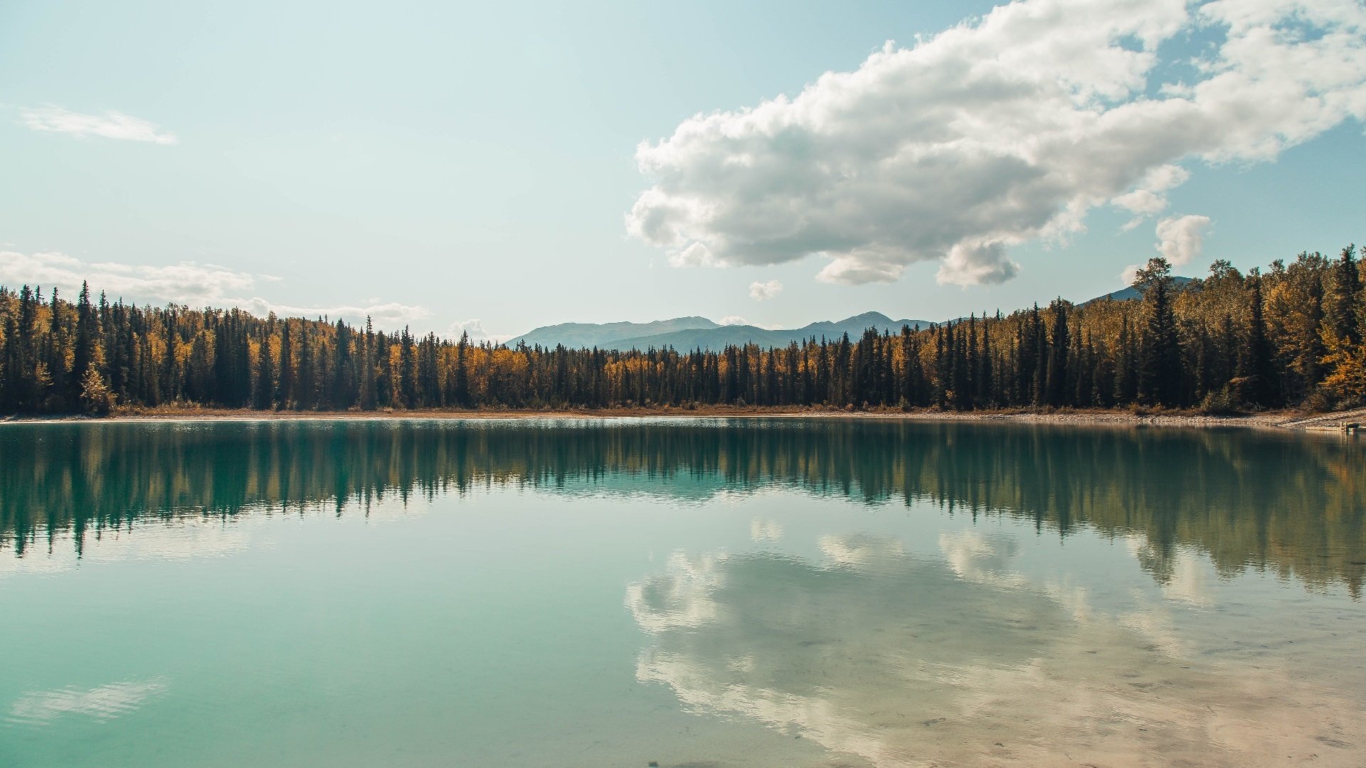 AYX体育-你觉得最有潜力的新人车手是谁？，最具潜力新人奖